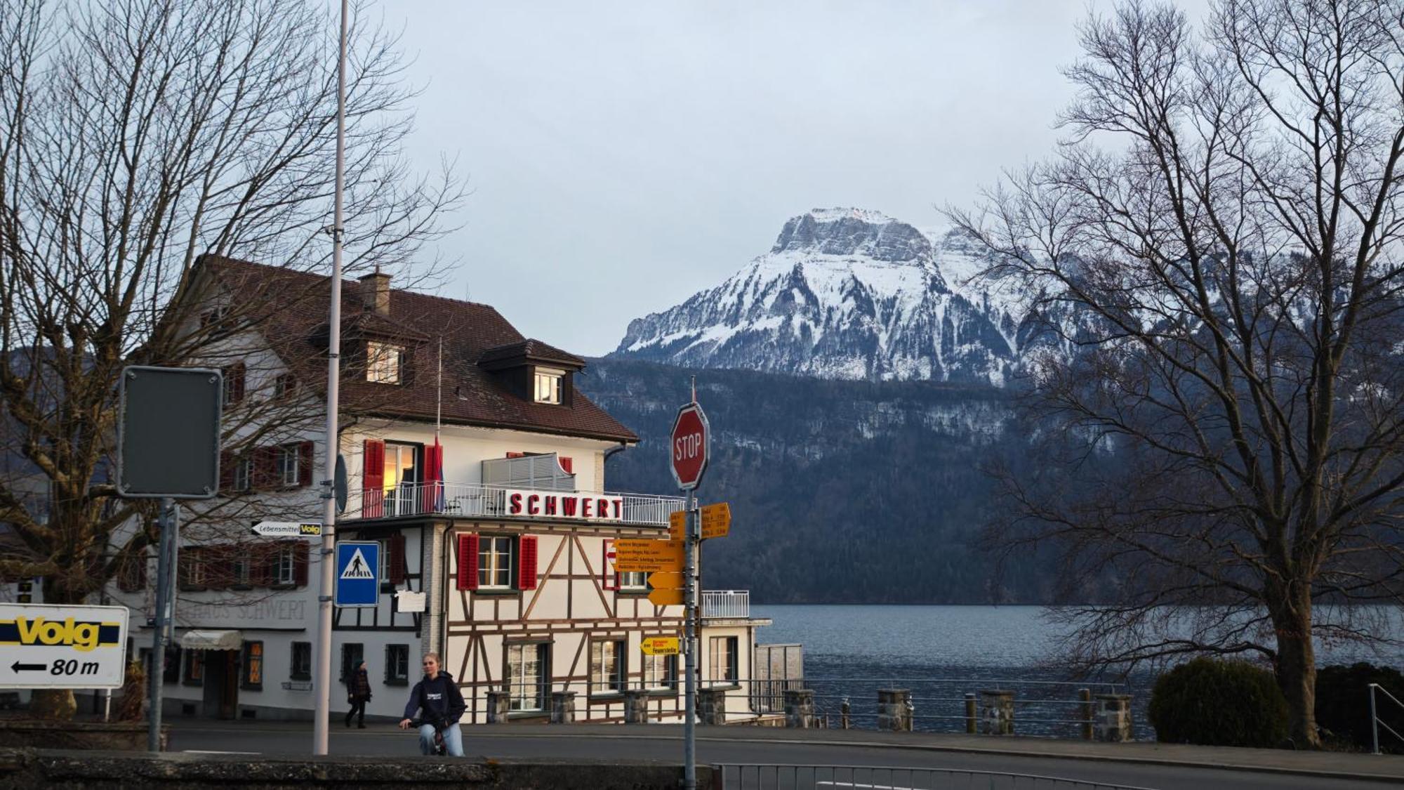 Seehotel Schwert Герзау Екстер'єр фото